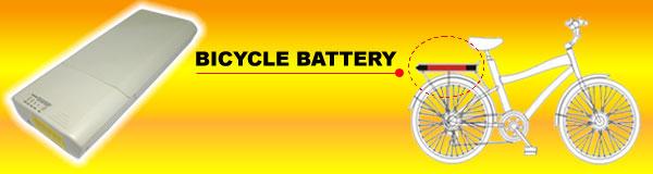 KL2453G - Electric Bicycle Battery